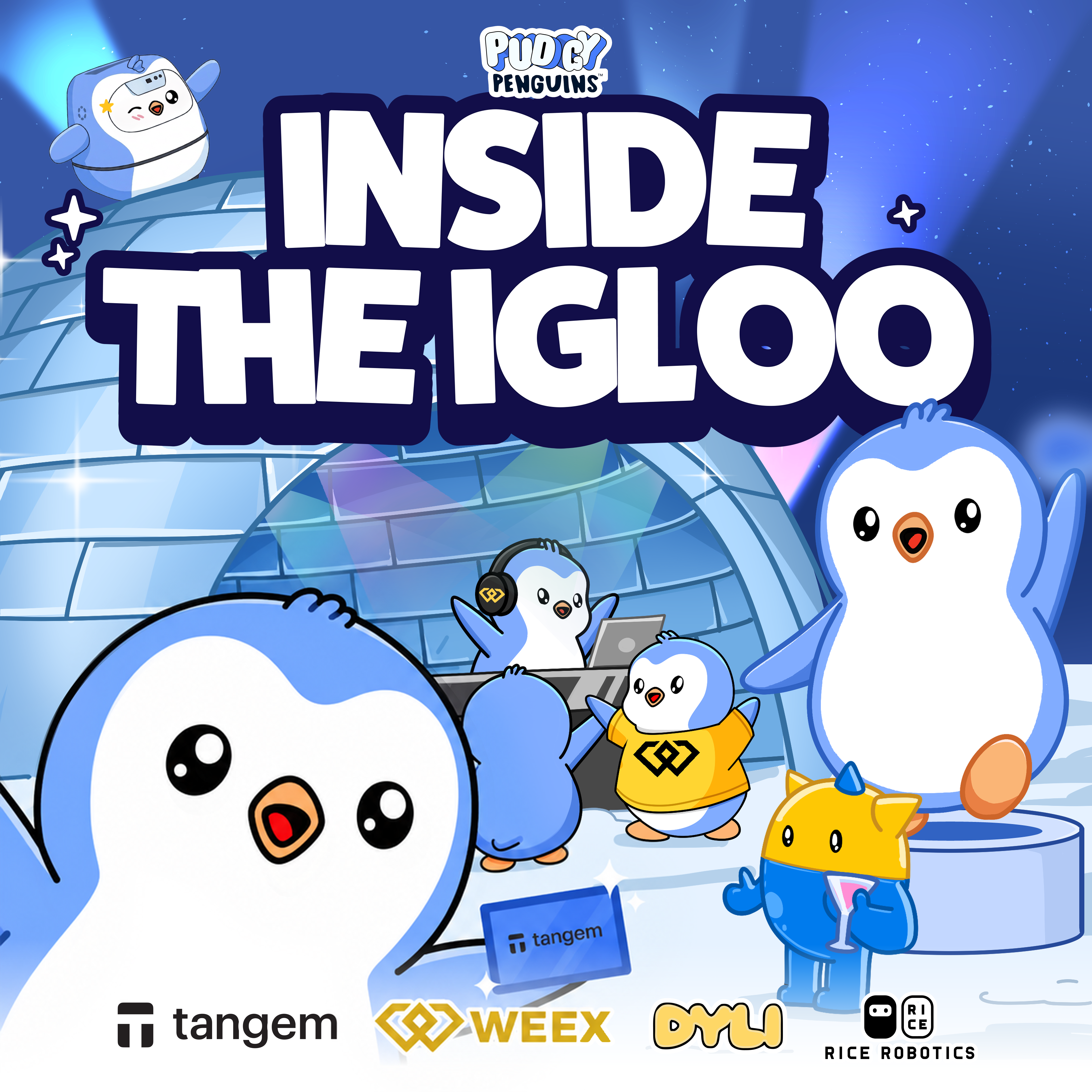 Inside the Igloo