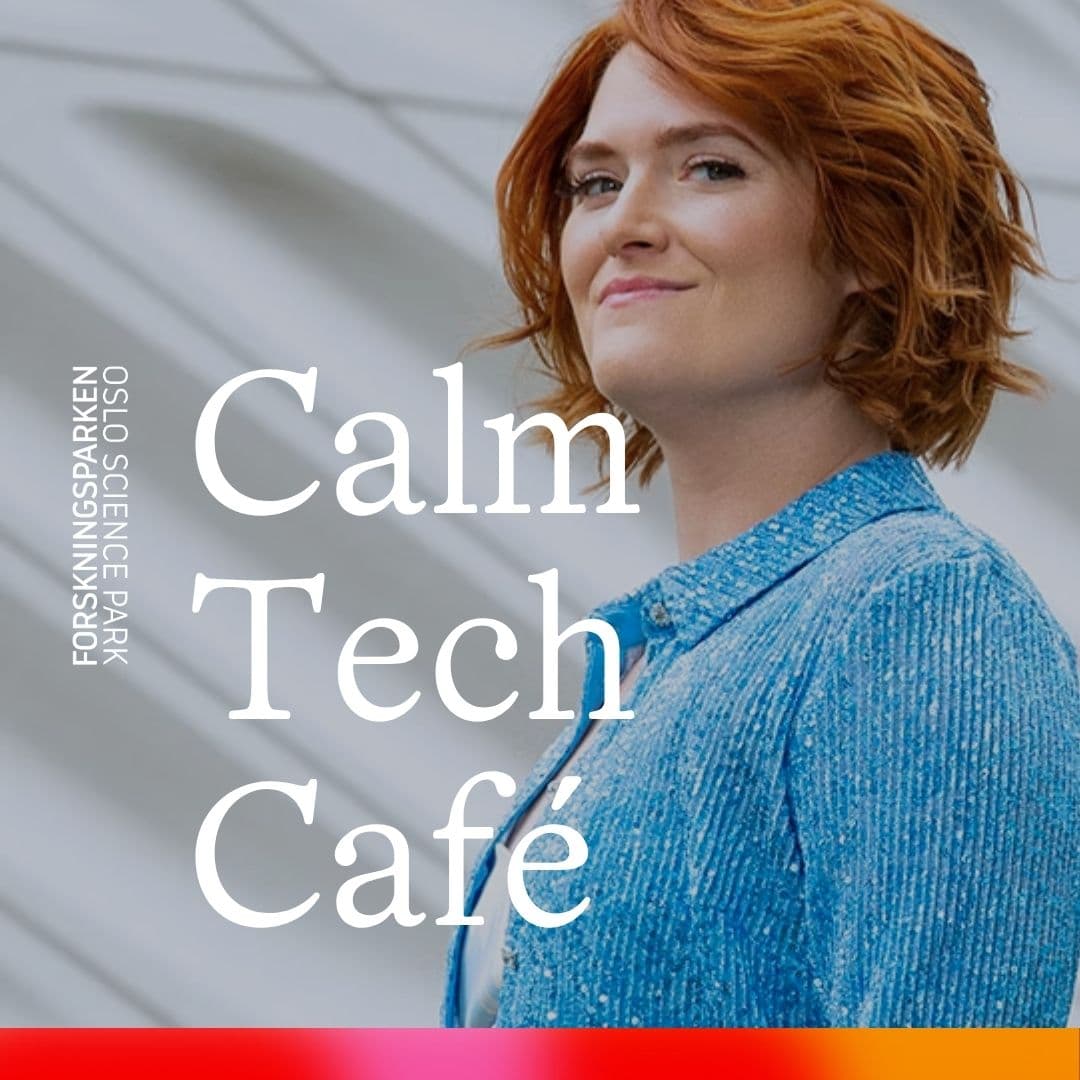 Calm Tech Café: Workshop on Calm Tech Ecosystem Generation