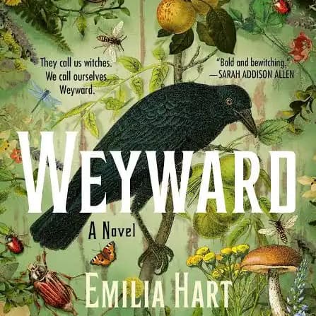 Friends & Follies Book Club: Weyward by Emilia Hart