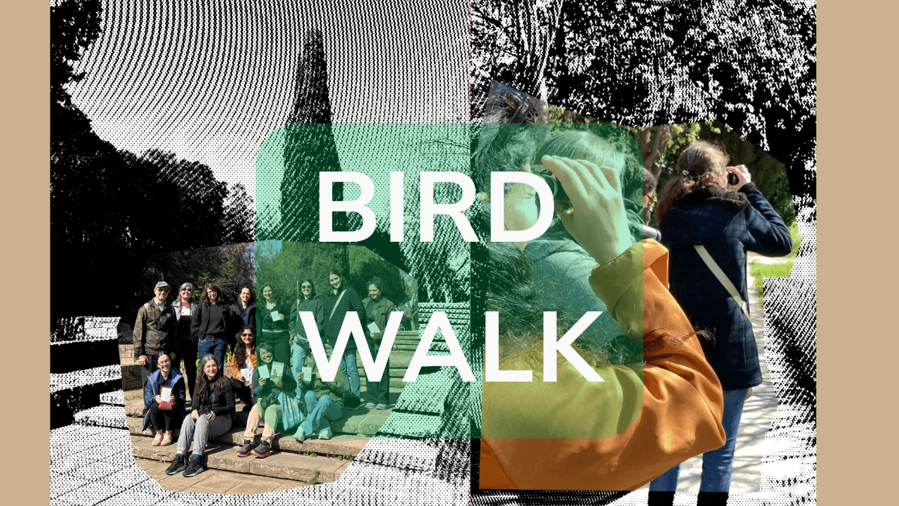 Bird Walk: Parc de Diagonal Mar