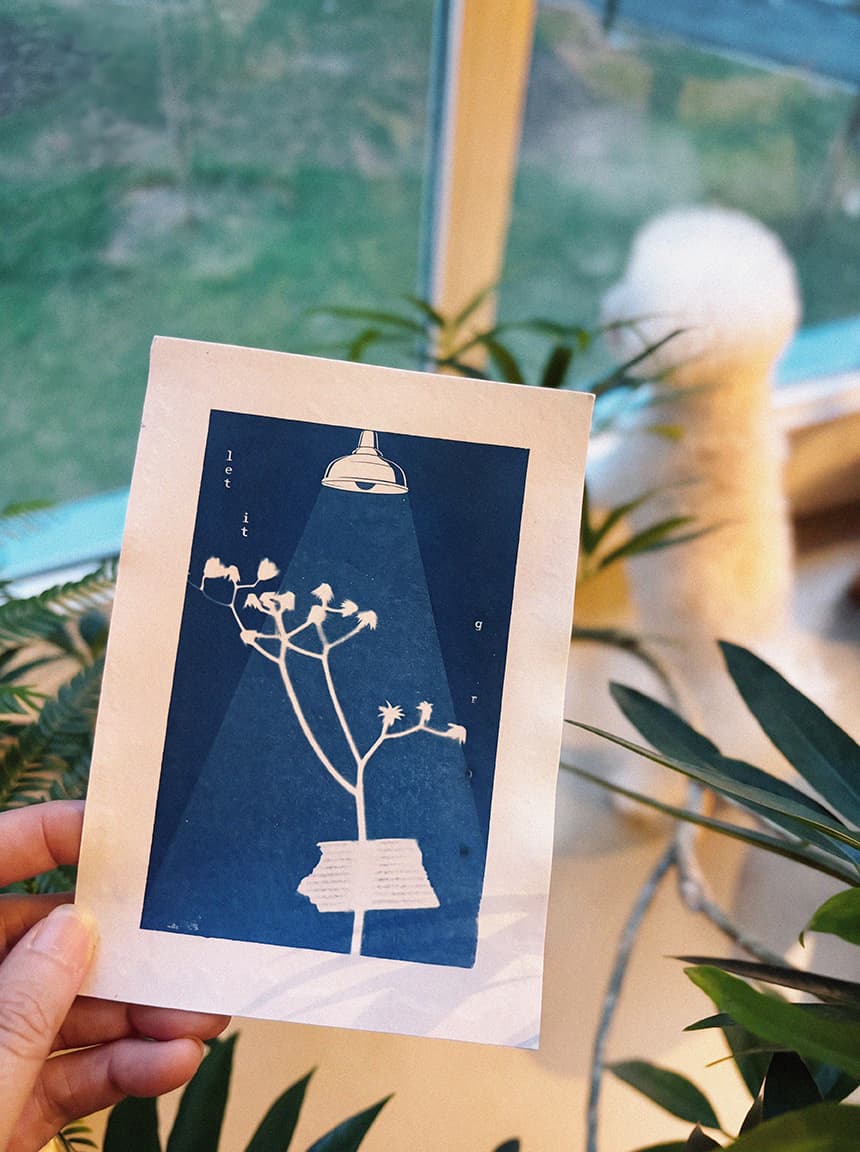 Dreaming in Blue - A Cyanotype Experience for Beginners