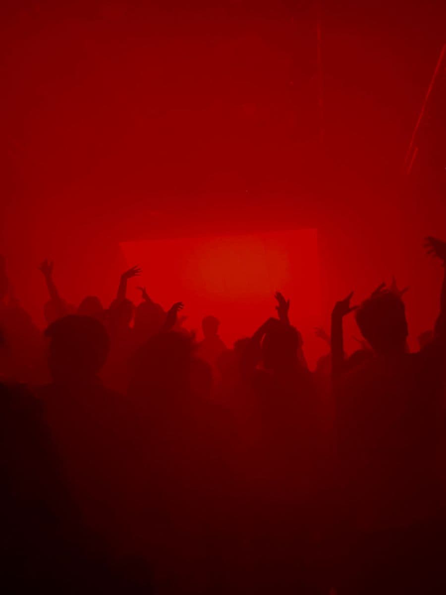Fiesta de Halloween | Noche de Vampiras 🦇🩸