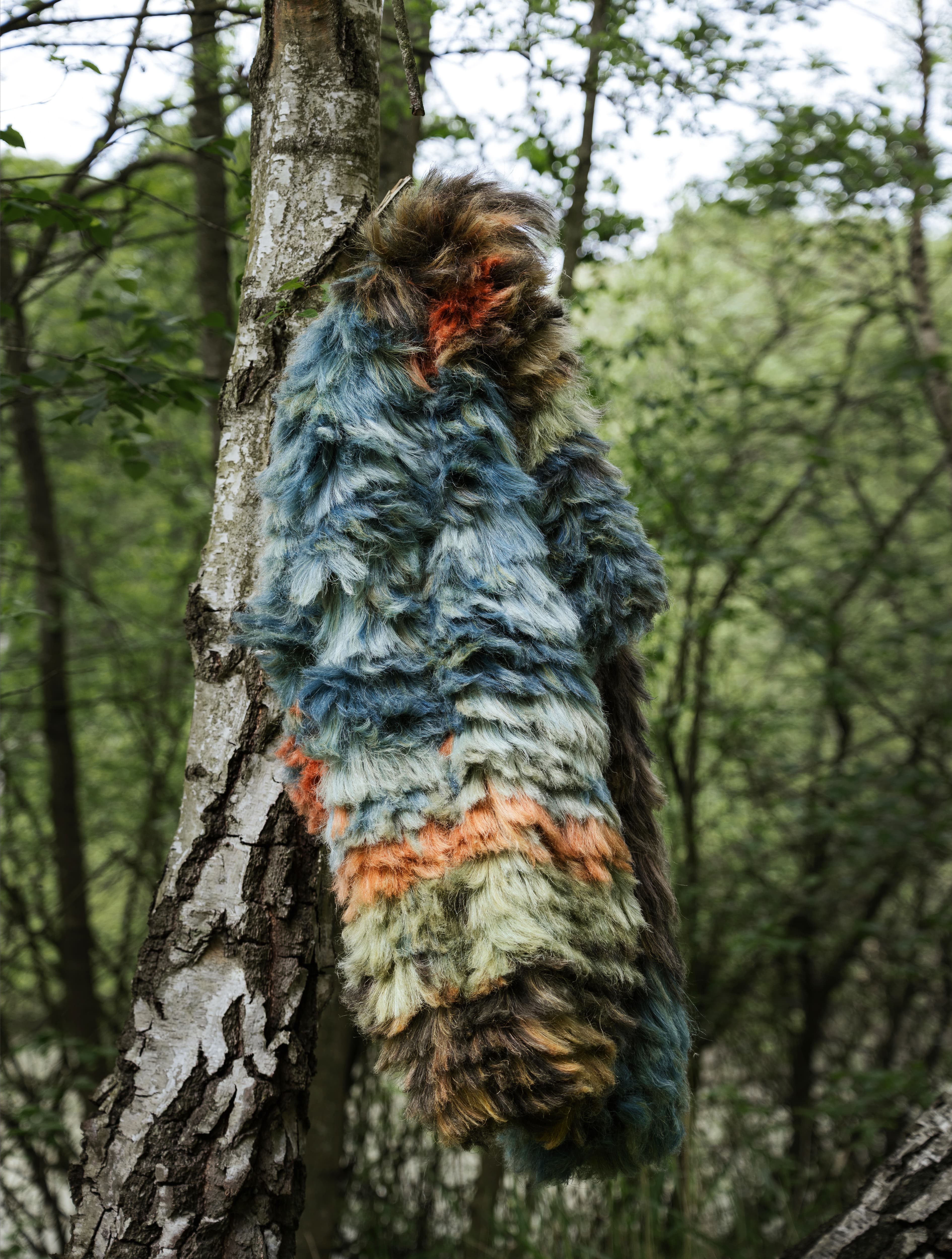 Regenerative Futures