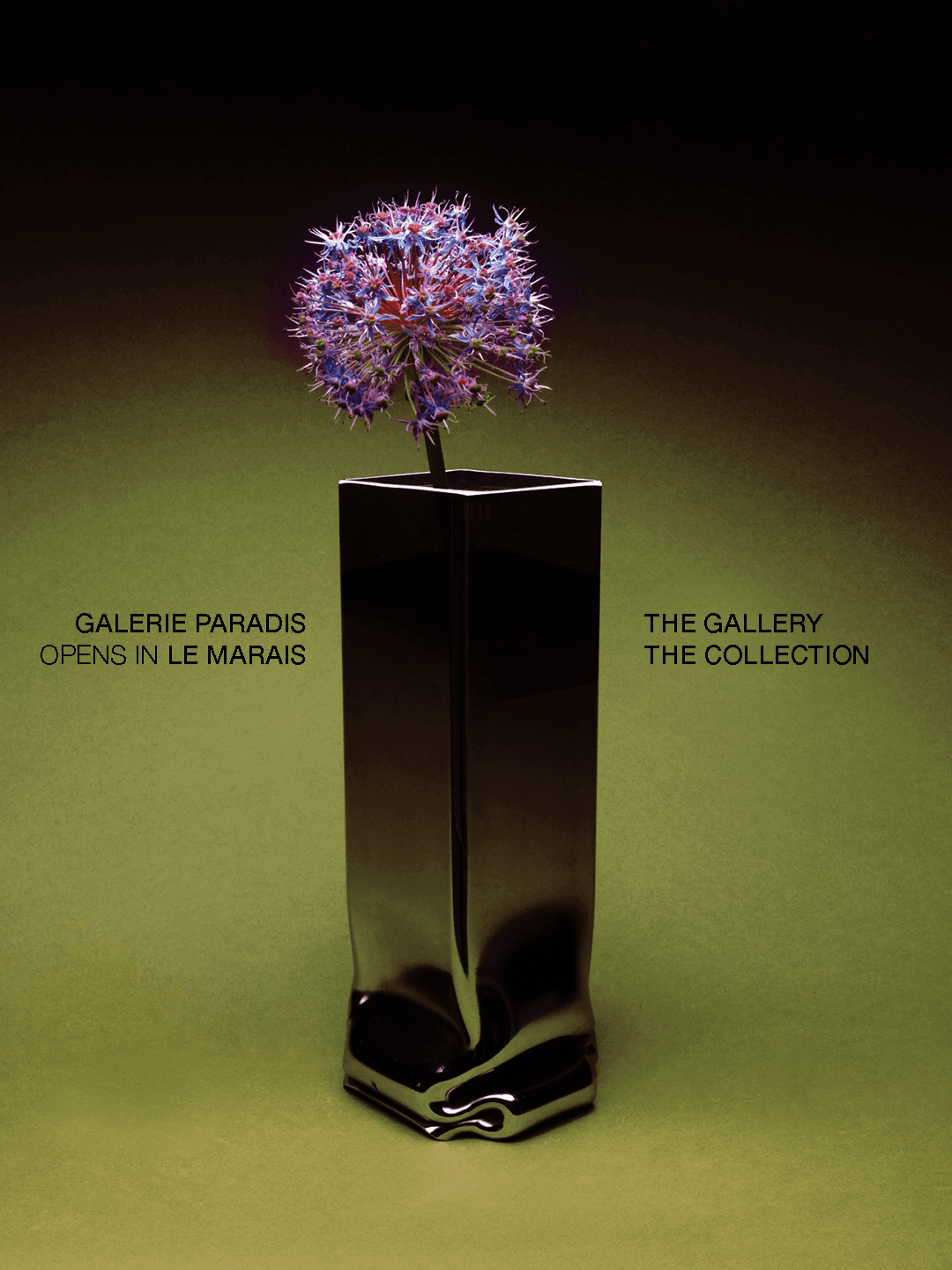 Galerie Paradis — Opening